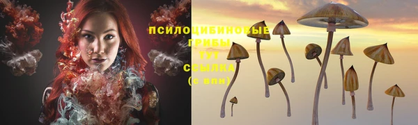 сатива Алзамай