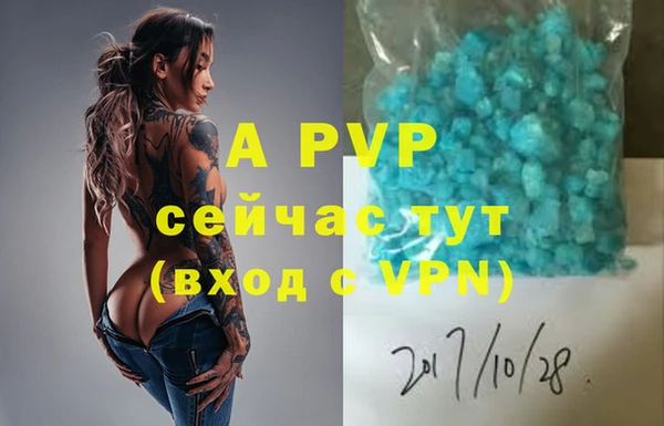 сатива Алзамай
